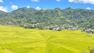 Unik! Sawah Berbentuk Jaring Laba-Laba di NTT
