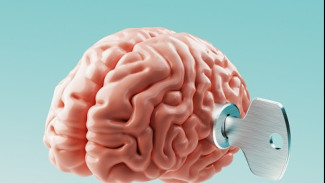 Mulai Pikun di Usia 40-an?Ini Cara Meningkatkan Fungsi Otak