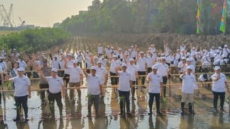 Jakarta Targetkan Penanaman Mangrove 1 Kilometer per Tahun untuk Hijaukan Pesisir Utara