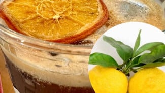 Yuzu, Jeruk Khas Jepang. Manfaat dan Resep Minuman Campurannya yang Menyegarkan