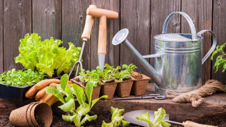 Peneliti : Berkebun Bisa Bikin Umur Panjang. Ini Penjelasannya!