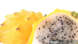 Langka! Ini Fakta Menarik Buah Naga Kuning