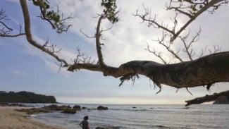 7 Pantai Terindah di Yogyakarta yang Wajib Dikunjungi