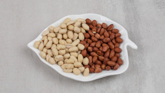 Empat Makanan Sehat untuk Diet Osteoporosis