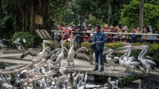 Kunjungan Taman Margasatwa Ragunan Tembus 113 Ribu Orang di Hari Pertama Tahun Baru 2026