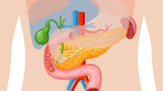 10 Nutrisi Terbaik untuk Meningkatkan Pertumbuhan Bakteri Baik di Usus