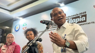 KKP Yakin Budidaya Lobster Indonesia Tidak Kalah dari Vietnam