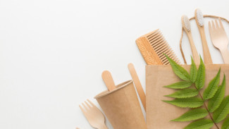 Modal Usaha Peralatan Eco-Friendly dan Peluang Keuntungannya