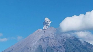 Gunung Semeru Erupsi 4 Kali, Kolom Abu Capai 800 Meter di Atas Puncak