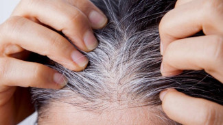 Sorotan Tentang Rambut Putih. Ini Alasan Seseorang Lebih Cepat Beruban?