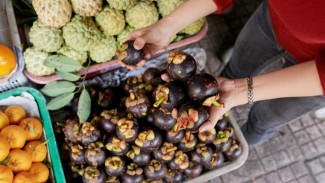 Peluang Emas Bisnis Buah-Buahan di Era Gaya Hidup Sehat