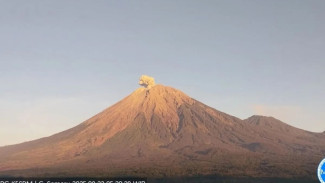 Gunung Semeru Erupsi, Kolom Abu Capai 700 Meter