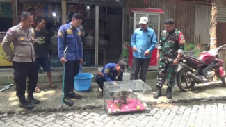 Monyet Liar Serang Warga dan Ganggu Warung Sembako, Dievakuasi Damkar Cibodas