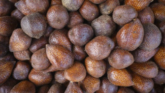 Ini Manfaat Buah Salak. Salah Satunya Mengatur Kadar Asam Urat