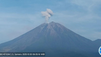 Gunung Semeru Catat 32 Kali Gempa Guguran, PVMBG Tetap Waspada Level IV