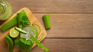 Mengapa Jus Lidah Buaya Cocok untuk Rutinitas Padat Anda