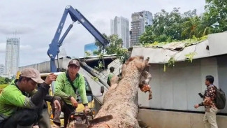 Gangguan Layanan MRT Jakarta Terjadi Akibat Pohon Tumbang