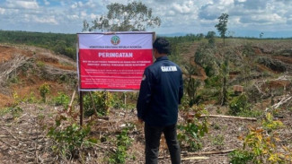 Daftar Subyek Hukum yang Disegel Kemenhut Diduga Turut Andil Memperparah Banjir Sumatera
