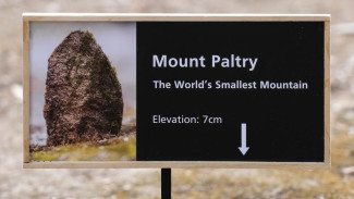 Disebut Gunung Terkecil di Dunia, Gunung Paltry Viral di Media Sosial