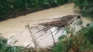Masyarakat Dilarang Konsumsi Ikan Tercemar Zat Kimia, Dinkes Tangerang: Bisa Picu Kanker!