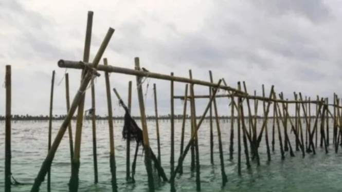 Pagar Laut di Tangerang.