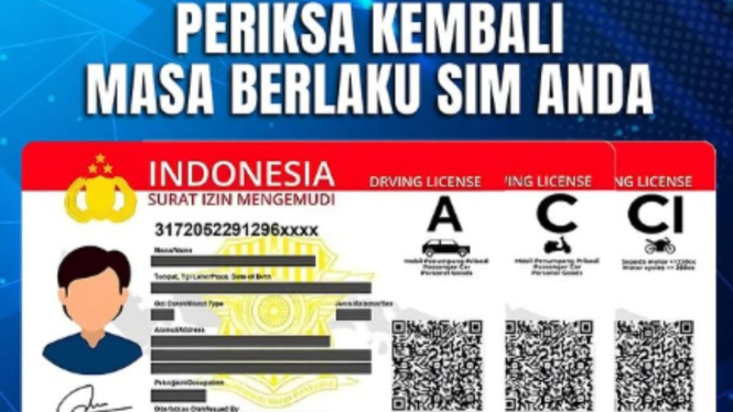 SIM Card