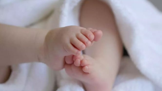 Ilustrasi Bayi.