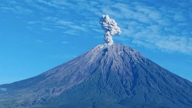 Gunung Semeru erupsi dengan tinggi letusan mencapai 1,2 km (ANTARA)