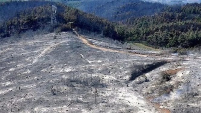 Sumur air Palestina di Tepi Barat yang dihancurkan (ANTARA)