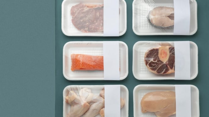 Ilustrasi frozen food (freepik.com)