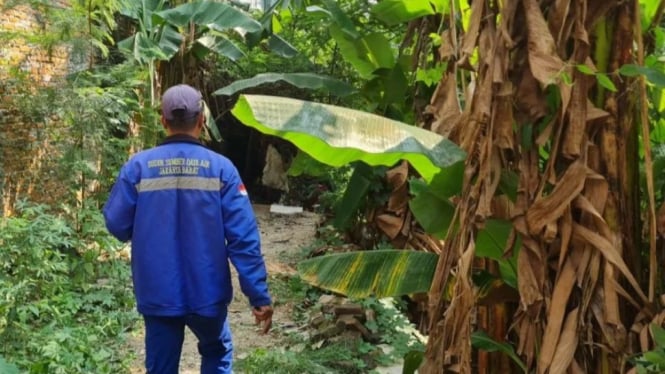 Penemuan Pria Tewas Membusuk di Gubuk Kebon Jeruk