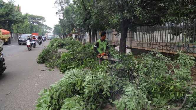 Pemangkasan pohon di Tangerang (tangerangkota.go.id)