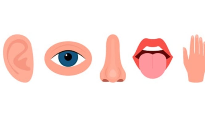 Ilustrasi panca indera