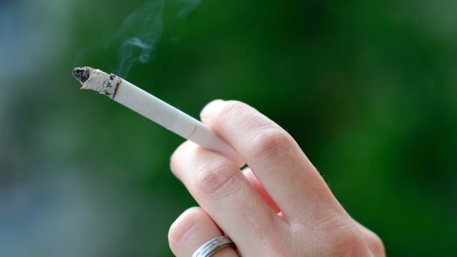 Ilustrasi rokok (freepik.com)
