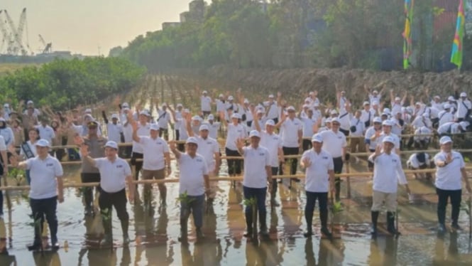 Penanaman mangrove serentak di empat lokasi di Jakarta Utara (ANTARA)