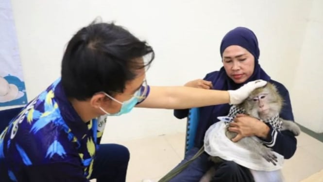 Petugas melakukan pemeriksaan kesehatan hewan