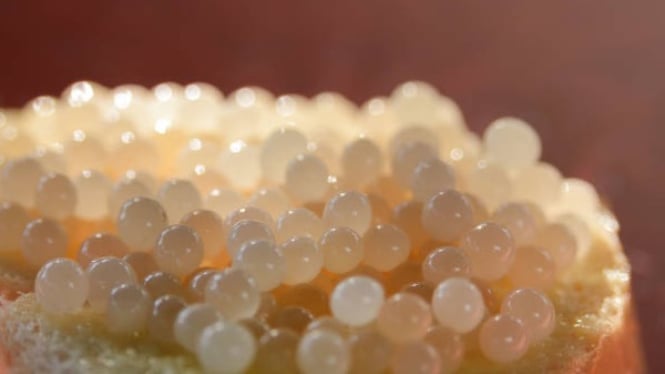 Caviar