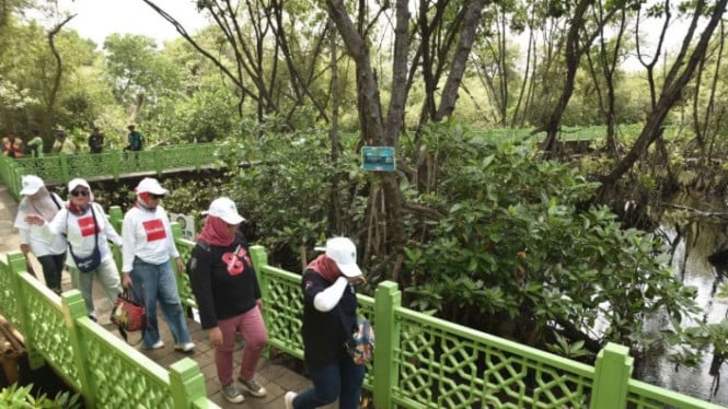 Kawasan Hutan Lindung Angke Kapuk, Jakarta Utara (ANTARA)
