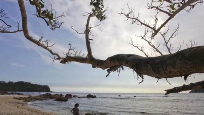 Pantai Wediombo, Gunungkidul, DI Yogyakarta (ANTARA)