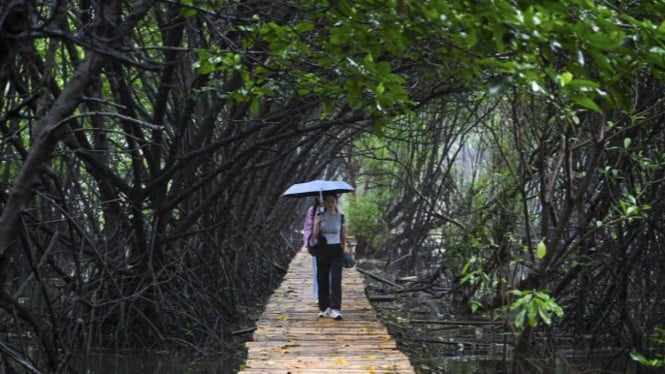 Taman Wisata Alam Mangrove Angke Kapuk