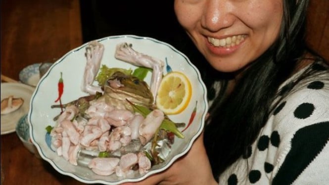 Sashimi Katak