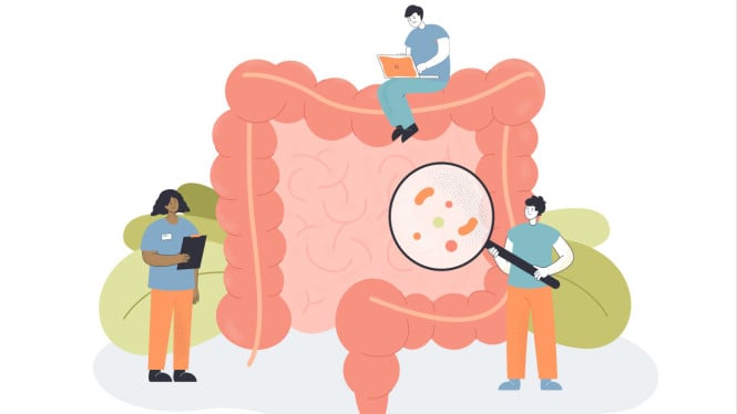 Ilustrasi usus besar