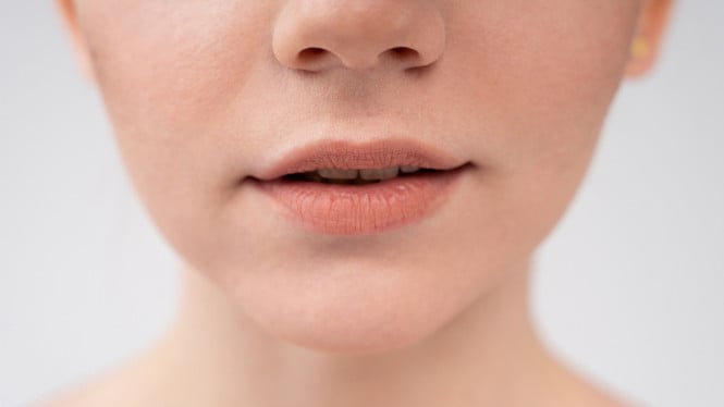 Ilustrasi bibir