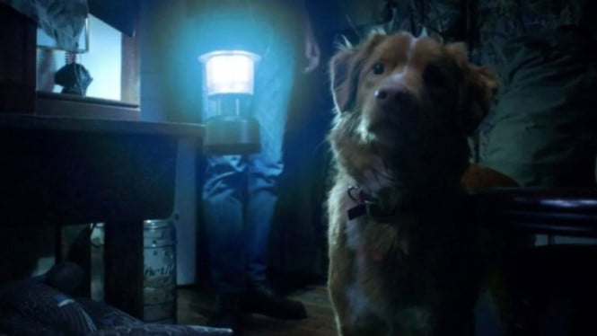 Foto salah satu adegan dalam film horor "Good Boy" (2025).