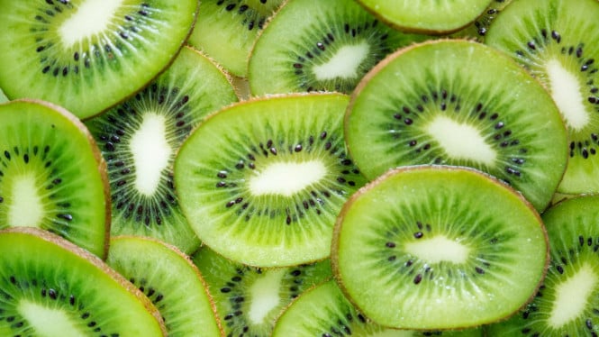 Ilustrasi kiwi