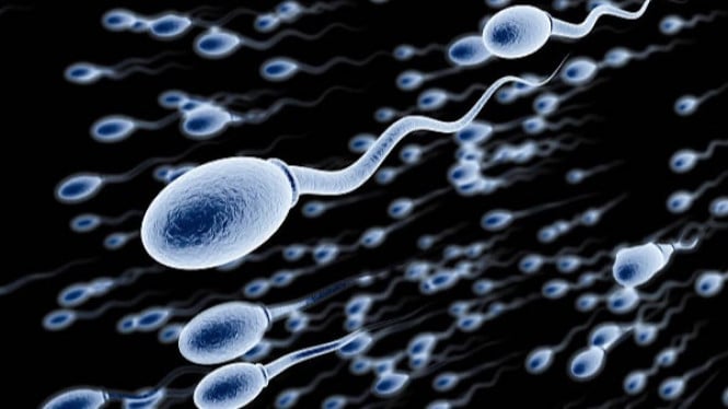 Ilustrasi sperma