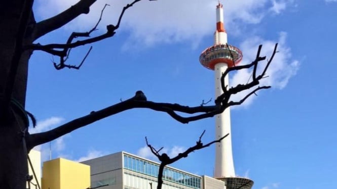 Kyoto Tower