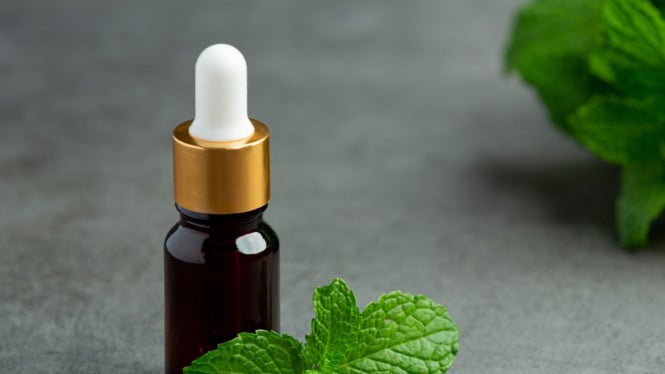Ilustrasi stevia