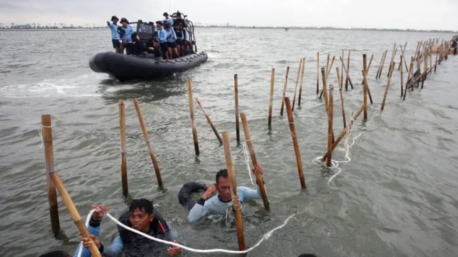 Pagar laut di kawasan Pantai Tanjung Pasir, Kabupaten Tangerang