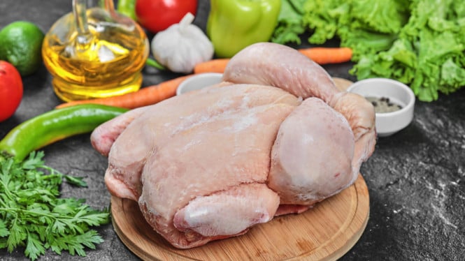 Ilustrasi daging ayam